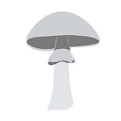 EPS 해외이미지 식물 손 디자인 계절 실루엣 별 선 음식 컬러 꽃무늬 채소 일러스트 재료 자연 미술 세트 버섯 가을 굴 흰색 낙서 숲 만화 스케치 심볼 사인 유기농 날것 윤곽 손그림 판화 고립 곰팡이 그물버섯 식용 엘리먼트 캡모자 벡터 비건 해외202309 해외일러스트 자연요소 모자_잡화 웰빙 꽃 무늬 문화예술 어패류 촬영기법 신체부위 생태계 채식주의자 파일형식