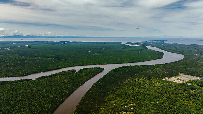 포토 JPG 해외이미지 나무 식물 아시아 파도 바다 섬 여행 잎 자연 휴가 휴식 사람없음 야외 물 강 침묵 만 끝 습지 숲 열대우림 장면 말레이시아 이국적 조감도 터키석 해외202309 해외포토 자연요소 나라 컨셉 소리 보석 생태계 파일형식