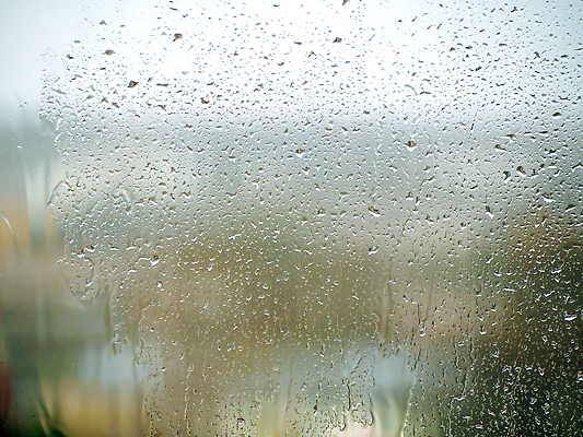 포토 JPG 해외이미지 디자인 계절 컬러 컨셉 잎 패턴 밭 벽지 하늘 표면 주택 건조 사람없음 빛 컬러풀 햇빛 반사 환경 흐름 흰색 물방울 투명 닫기 매끈함 소프트포커스 질감 보케 광택 10월 블러 샤워실 많음 효과 해외202309 해외포토 식물 무늬 농업 모션 촬영기법 건물 태양 감각 날짜 샤워시설 파일형식