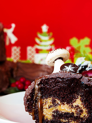 포토 JPG 해외이미지 크리스마스 근접촬영 사람없음 달콤 초코케이크 롤케이크 부쉬드노엘 해외202309 해외포토 기념일 뷰포인트 케이크 맛 파일형식