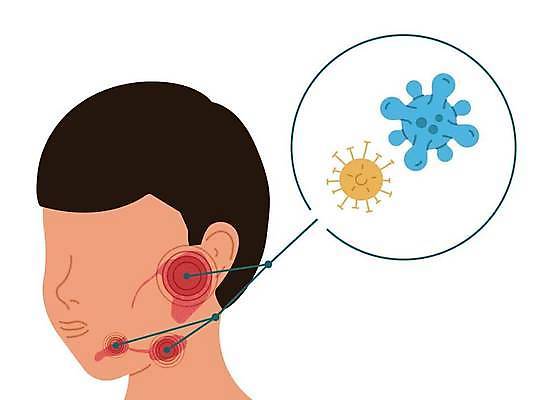 EPS 해외이미지 남자 신체 일러스트 해부 건강 사람 소년 약 머리 고통 입 오르간 바이러스 질병 감염 염증 증상 벡터 구내염 해외202309 해외일러스트 감정 어린이 의학 신체부위 건반악기 파일형식