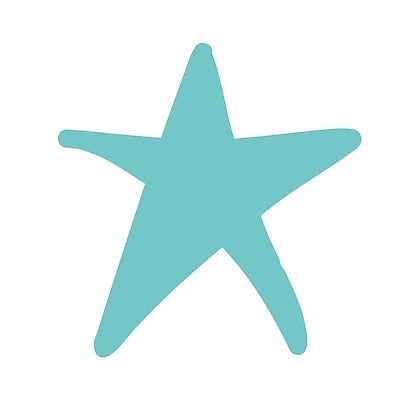 EPS 해외이미지 모양 동물 디자인 별 바다 일러스트 자연 조개 불가사리 연체동물 항해 그래픽 장식 바닷속 수중 껍질 낙서 스케치 심볼 라인아트 그림 생물학 윤곽 손그림 수족관 고립 동물상 엘리먼트 이국적 스타일 벡터 해외202309 해외일러스트 자연요소 교육 선 배_교통 어패류 극피동물 무척추동물 미술 조형물 생태계 파일형식