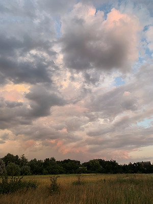 포토 JPG 해외이미지 나무 식물 계절 산업 음식 빵 줄기 컬러 백그라운드 밭 농업 일러스트 자연 하늘 날씨 건조 건강 사람없음 야외 농작물 햇빛 태양 뷰티 농장 노란색 마을 일몰 수확 성장 흰색 시골 신선 황금 낟알 시리얼 밀 보리 밭일 호밀 세련 해외202309 해외포토 자연요소 곡류 노을 생태계 파일형식