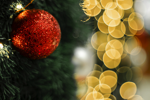 포토 JPG 해외이미지 나무 전통 디자인 계절 행복 컬러 백그라운드 크리스마스 겨울 공 추상 휴가 불꽃 새로움 기념 이벤트 사람없음 장식 빨간색 초록색 빛 노란색 축제 장식볼 나뭇가지 축하 원형 황금 야간 소프트포커스 12월 질감 보케 빛망울 블러 크리스마스이브 해외202309 해외포토 자연요소 도형 식물 기념일 감정 컨셉 무늬 불 촬영기법 날짜 파일형식