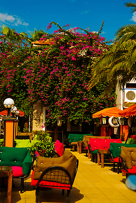 포토 JPG 해외이미지 전통 외관 꽃 유럽 벽 여행 백그라운드 건축양식 창문 휴가 출입구 거리 사람없음 야외 건물 목재 세로 초록색 여름 파란색 여행객 문 마을 식당 정원 카페 수확 골동품 바위 시골 도시 센터 역사 도심 지중해 묘사 복고 칠면조 랜드마크 옛날 스타일 해외202309 해외포토 나무 식물 건축물 계절 건축 나라 바다 컬러 농업 재료 조류 사람 상점 돌_바위 파일형식