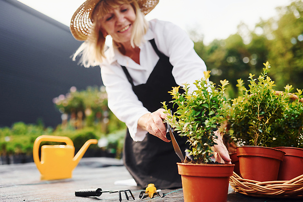 포토 JPG 해외이미지 백인 여자 노년 행복 화분 관리 한명 상반신 취미 야외 앞모습 실버라이프 정원 봄 기쁨 무릎꿇기 원예 원예식물 원예용품 노인여자한명만 해외202309 해외포토 서양인 식물 1 라이프스타일 계절 감정 뷰포인트 생활용품 모션 사람 성인 여자한명만 노인여자만 파일형식