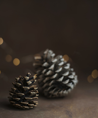 포토 JPG 해외이미지 템플릿 디자인 배너 결혼 크리스마스 겨울 패턴 벽지 추상 휴가 새해 기념 발렌타인데이 사람없음 장식 파란색 빛 컬러풀 파티 축제 원형 고급 소프트포커스 샴페인 신비 심볼 질감 보케 솔방울 마법 광 블러 카피스페이스 해외202309 해외포토 도형 계절 기념일 컬러 컨셉 무늬 데이이벤트 주류 촬영기법 이벤트 공백 파일형식