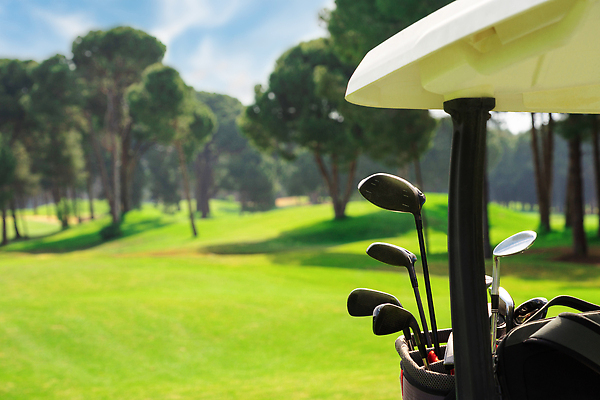 포토 JPG 해외이미지 직업 스포츠용품 스포츠 백그라운드 밭 골프 가방 골프장 자동차 놀이 잔디 사람없음 초록색 세트 카트 골프채 운전 게임 소나무 강의 클럽 유모차 기어 칠면조 페어웨이 카피스페이스 해외202309 해외포토 나무 식물 잡화 육상교통 컬러 농업 스포츠시설 모션 조류 골프용품 구기 공백 아기용품 오브젝트 파일형식