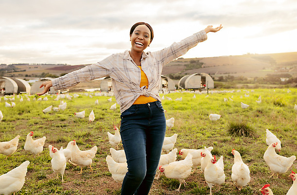 포토 JPG 해외이미지 주간 전신 라이프스타일 여자 여러마리 팔벌리기 한명 잔디 상반신 성인 야외 앞모습 농장 닭 축산업 농부 전원생활 양계장 성인여자한명만 해외202309 해외포토 자연요소 식물 직업 1 산업 뷰포인트 다수 농업 모션 조류 사람 생활 여자한명만 성인여자만 파일형식