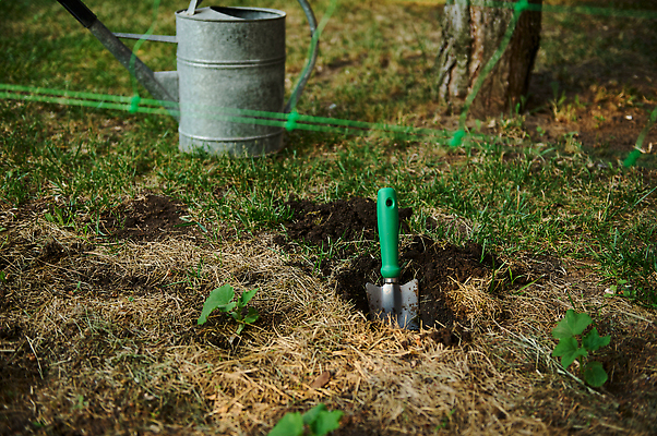 포토 JPG 해외이미지 식물 농업 한명 새싹 물뿌리개 성장 시골 구멍 삽 환경보전 원예 화단 채소밭 심기 카피스페이스 해외202309 해외포토 1 산업 밭 모션 사람 취미 공백 사회이슈 파일형식