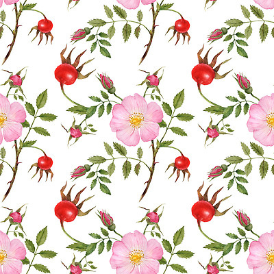 포토 JPG 해외이미지 식물 디자인 꽃 분홍색 꽃다발 결혼 잎 꽃무늬 일러스트 자연 수채화 사람없음 장식 초록색 여름 뷰티 장미 유행 정원 봄 낭만 수확 성장 벚꽃 흰색 나뭇가지 시골 인사 개화 우아함 그림 초대 향 내추럴 엘리먼트 해외202309 해외일러스트 나무 계절 컬러 컨셉 무늬 농업 이벤트 예절 생태계 파일형식