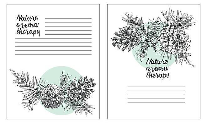 EPS 해외이미지 크리스마스 겨울 일러스트 사람없음 편지지 솔방울 솔잎 카피스페이스 해외202309 해외일러스트 계절 기념일 잎 공백 편지 파일형식 벡터