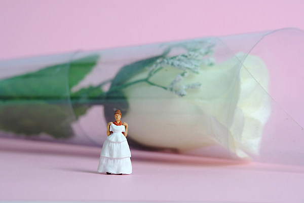 포토 JPG 해외이미지 드레스 옷 여자 꽃 행복 꽃다발 결혼 결혼식 사람 이벤트 사람없음 쇼핑 장난감 뷰티 장미 유행 상점 미니어처 흰색 축하 가운 황금 우아함 선택 구매 은색 디자이너 고객 측정 준비 다이아몬드 재단 재단사 부티크 헬프 스타일 해외202309 해외포토 식물 직업 감정 컬러 컨셉 모형 도움 보석 파일형식