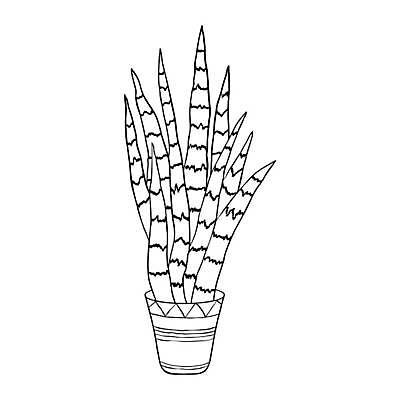 EPS 해외이미지 식물 디자인 꽃 어린이 백그라운드 잎 꽃무늬 일러스트 자연 주택 실내 미술 성인 책 흰색 낙서 냄비 만화 스케치 유기농 원예 윤곽 손그림 페이지 내추럴 고립 다육식물 엘리먼트 벡터 해외202309 해외일러스트 웰빙 컬러 무늬 문화예술 사람 취미 내부 건물 솥 생태계 파일형식