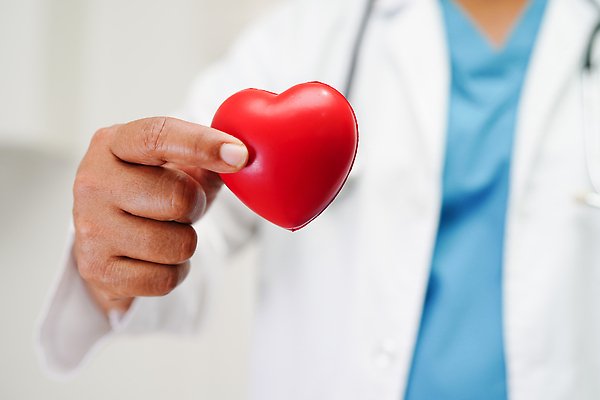 포토 JPG 해외이미지 직업 손 여자 행복 청진기 주택 건강 병원 사랑 사람 동양인 성인 사람없음 치료 빨간색 약 건강관리 힘 놀이방 환자 간호사 의사 잡기 질병 사인 보험 돌봄 심장병 옛날 지원 헬프 자선단체 해외202309 해외포토 감정 컬러 의학 의료기기 모션 관리 인종 건물 신체부위 의료진 도움 그룹 자선 파일형식