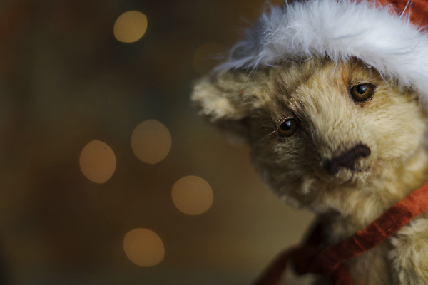 포토 JPG 해외이미지 동물 기념일 얼굴 크리스마스 산타모자 곰 가족 포옹 새로움 새해 크리스마스카드 기념 선물 앉기 사람없음 장식 빨간색 장난감 뷰티 산타클로스 갈색 곰인형 방 축하 인사 신용카드 12월 모피 솜털 폭식 캡모자 크리스마스이브 클라우스 크리스마스배경 해외202309 해외포토 모자_잡화 인형 컬러 백그라운드 컨셉 포유류 관계 안기 모션 카드_감사 이벤트 신체부위 금융 예절 날짜 파일형식