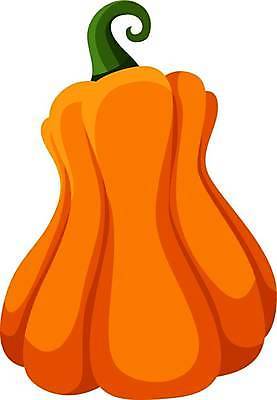 EPS 해외이미지 모양 식물 디자인 계절 행복 음식 백그라운드 채소 오렌지 일러스트 호박 추상 휴가 미술 그래픽 장식 초록색 픽토그램 농장 노란색 할로윈 수확 가을 흰색 축하 플랫 낙서 만화 심볼 오브젝트 그림 심플 박 추수감사절 잭 10월 내추럴 고립 숙성 벡터 해외202309 해외일러스트 감정 기독교 컬러 컨셉 무늬 농업 과일 문화예술 날짜 파일형식