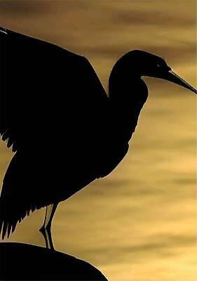 EPS 해외이미지 디자인 선 과학 백그라운드 컨셉 인터넷 일러스트 비즈니스 추상 미래 아이디어 기술 창조 미술 사람 그래픽 노트북 학습 컴퓨터 컬러풀 디지털 기계 정보 마음 네트워크 만화 스케치 수집 사이버 스마트 심볼 로봇 사인 뇌 그림 순환 혁명 고립 인공 지능 프로젝트 벡터 해외202309 해외일러스트 교육 컬러 무늬 모션 문화예술 전자제품 파일형식