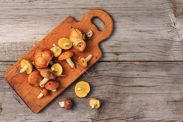 포토 JPG 해외이미지 계절 음식 다이어트 채소 자연 건강 요리 사람없음 야외 목재 여름 갈색 식사 저녁식사 버섯 가을 신선 닫기 맛 숲 유기농 날것 버터 내추럴 점심식사 곰팡이 그물버섯 숙성 식용 채식주의자 해외202309 해외포토 나무 웰빙 컬러 컨셉 재료 모션 생태계 채식 파일형식