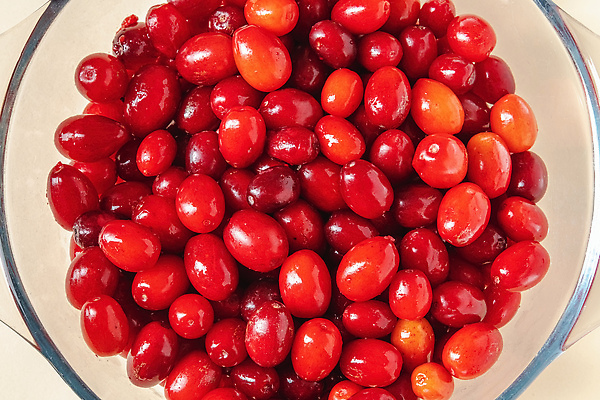 포토 JPG 해외이미지 식물 열매 음식 컬러 백그라운드 과일 재료 자연 디저트 건강 사람없음 빨간색 약 수확 신선 그룹 사발 달콤 맛 오브젝트 유기농 날것 흙더미 내추럴 숙성 채식주의자 크랜베리 많음 맛있는 해외202309 해외포토 웰빙 컨셉 농업 의학 흙 사기그릇 생태계 채식 파일형식 더미