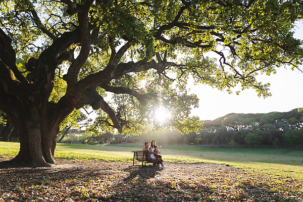 포토 JPG 해외이미지 나무 백인 라이프스타일 공원 여자 남자 행복 아들 어린이 잎 벤치 가족 자연 놀이 엄마 함께함 건강 사람 소년 야외 세명 뷰티 맑음 거품 기쁨 아빠 큼 주말 비누 순간 해외202309 해외포토 서양인 식물 공공시설 감정 컨셉 의자 관계 날씨 생활 위생용품 크기 생태계 파일형식