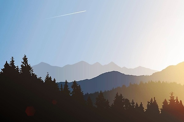 EPS 해외이미지 나무 실루엣 여행 백그라운드 일러스트 자연 아침 휴가 새로움 산 파노라마 풍경 야외 가로 여름 빛 태양 뷰티 평화 일출 환경 희망 일몰 봄 새벽 캠핑 하이킹 탐험 소나무 정상 저녁 숲 땅 언덕 배낭여행 산등성이 윤곽 장면 멀리 발견 순간 절정 처음 벡터 현실 해외202309 해외일러스트 주간 자연요소 식물 계절 감정 컨셉 레저 촬영기법 노을 야간 생태계 파일형식