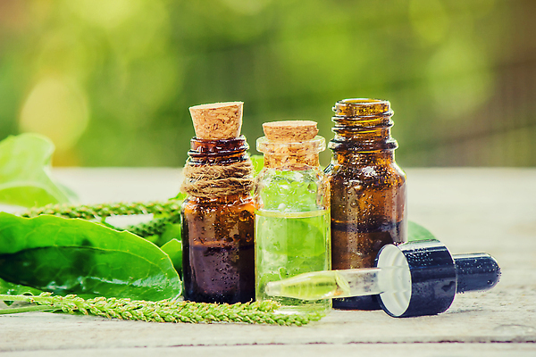 포토 JPG 해외이미지 백그라운드 잎 자연 사람없음 아웃포커스 뷰티 신선 오일 내추럴 해외202309 해외포토 식물 음식 촬영기법 화장품 생태계 파일형식