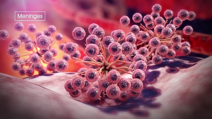 포토 JPG 해외이미지 디자인 과학 아이디어 세포 사람 사람없음 학습 약 머리 마음 죽음 네트워크 오르간 DNA 집중 뇌 생물학 신호 단백질 노화 셀룰러 해외202309 해외포토 교육 컨셉 의학 신체부위 건반악기 생명공학 영양소 파일형식