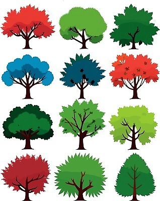 EPS 해외이미지 일러스트 단풍나무 나뭇잎 사람없음 초록색 오브젝트 해외202309 해외일러스트 나무 컬러 단풍 잎 파일형식 벡터