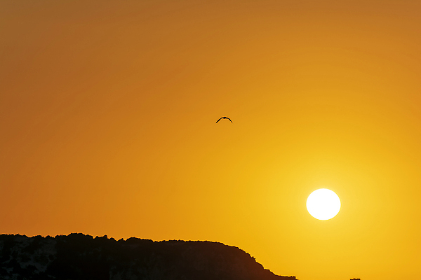 포토 JPG 해외이미지 유럽 바다 여행 백그라운드 자연 조류 하늘 휴가 사람없음 야외 물 햇빛 태양 뷰티 맑음 일몰 놀람 지중해 그리스 즐거움 방문 석호 그리스인 내추럴 이국적 인기 파라다이스 해외202309 해외포토 자연요소 서양인 동물 감정 나라 날씨 표정 노을 생태계 파일형식