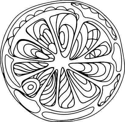 EPS 해외이미지 식물 손 디자인 음식 조각 백그라운드 다이어트 오렌지 과일 일러스트 자연 귤 잉크 건강 미술 그래픽 검은색 주스 수확 흰색 신선 그리기 달콤 낙서 스케치 수집 레몬 레모네이드 오브젝트 싱글 그림 유기농 윤곽 손그림 라임 내추럴 고립 이국적 채식주의자 벡터 해외202309 해외일러스트 웰빙 음료 컬러 농업 모션 문화예술 신체부위 맛 생태계 채식 에이드 파일형식