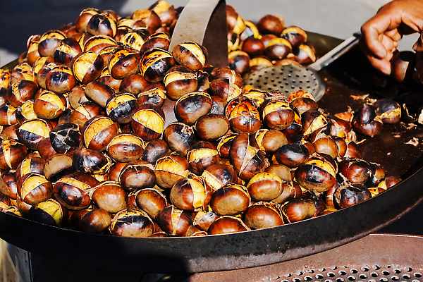 포토 JPG 해외이미지 전통 계절 음식 백그라운드 과일 불 거리 건강 요리 씨앗 사람없음 갈색 이탈리아 견과류 튀김 껍질 신선 오픈 뜨거움 프라이팬 시장 닫기 달콤 맛 그릴 로마 9월 굽기 유기농 칠면조 흙더미 10월 내추럴 식용 튀르키예 해외202309 해외포토 자연요소 식물 웰빙 유럽 아시아 컬러 컨셉 모션 조류 주방용품 흙 날짜 구이 파일형식 더미