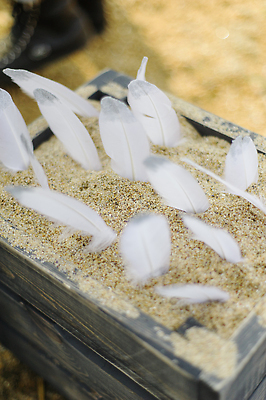 포토 JPG 해외이미지 전통 디자인 계절 꽃 리본 음식 모래 바다 컬러 백그라운드 자연 휴가 선물 이벤트 사람없음 목재 장식 상자 갈색 파티 쌓기 축제 수확 흰색 시골 축하 소나무 그룹 은색 먹기 깃털 오브젝트 에코 유기농 질감 특별함 해외202309 해외포토 나무 식물 웰빙 컨셉 농업 재료 모션 환경 생태계 파일형식