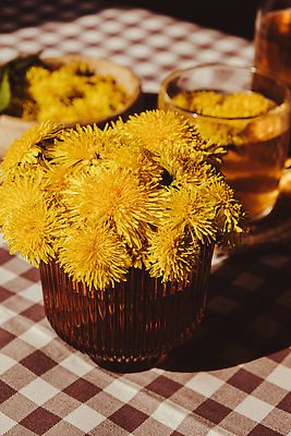 포토 JPG 해외이미지 사람없음 노란색 식탁보 찻잔 민들레 컵받침 체크무늬 꽃차 해외202309 해외포토 꽃 컬러 무늬 잔 차_음료 받침대 파일형식