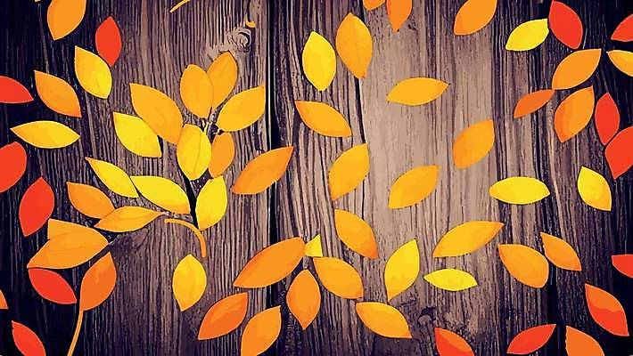 EPS 해외이미지 식물 디자인 계절 꽃 컬러 백그라운드 단풍 잎 패턴 오렌지 일러스트 자연 추상 프레임 경사 타이포그라피 장식 빨간색 컬러풀 노란색 우주 광선 황금 떨어짐 숲 인쇄 시원함 허브 유기농 원예 질감 진홍색 재 취급주의 벡터 플랫레이 제의 효과 해외202309 해외일러스트 문자 웰빙 컨셉 무늬 과일 경고 취미 플랫 생태계 파일형식