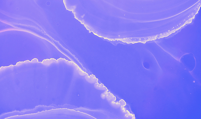 포토 JPG 해외이미지 손 디자인 배너 포스터 종이 선 벽 파도 분홍색 컬러 백그라운드 패턴 일러스트 벽지 잉크 경사 사람없음 그래픽 물 파란색 빛 디지털 웹 페인트 젖음 흐름 붓 점 얼룩 액체 떨어짐 인쇄 실크 제비꽃 그림 질감 네온 캔버스 대리석 미니멀 효과 유체 해외202309 해외일러스트 자연요소 꽃 바다 컨셉 무늬 인터넷 재료 신체부위 직물 파일형식