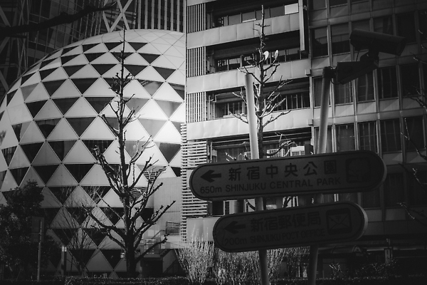 포토 JPG 해외이미지 디자인 백그라운드 비즈니스 흑백 미술 풍경 사람없음 야외 건물 도시풍경 사무실 검은색 고층빌딩 흰색 도시 도쿄 심플 해외202309 해외포토 건축물 컬러 문화예술 촬영기법 빌딩 일본 파일형식