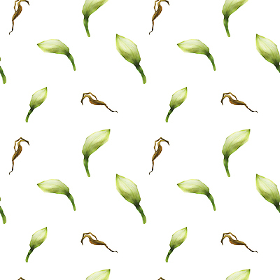 포토 JPG 해외이미지 식물 꽃 별 꽃다발 꽃무늬 일러스트 자연 친절 부활절 미술 사람없음 옆모습 초록색 파란색 빛 노란색 정원 봄 낭만 벚꽃 흰색 직물 신선 포장지 아로마 반복 현실 해외202309 해외일러스트 자연요소 계절 기념일 뷰포인트 컬러 컨셉 무늬 포장 문화예술 생태계 파일형식