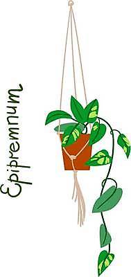 EPS 해외이미지 식물 디자인 꽃 화초 잎 꽃무늬 일러스트 자연 주택 실내 내부 장식 초록색 유행 정원 방 친환경 원예 분재 고립 스칸디나비아 엘리먼트 온실 벡터 해외202309 해외일러스트 나무 컬러 무늬 취미 건물 환경 생태계 파일형식