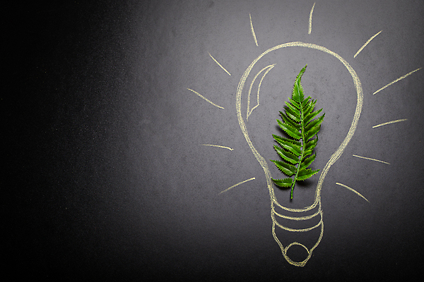 포토 JPG 해외이미지 식물 지구 백그라운드 컨셉 잎 전구 자연 추상 미래 아이디어 사람없음 그래픽 초록색 빛 태양 환경 검은색 힘 공백 재활용 에너지 성장 램프 절약 오염 보호 심볼 사인 분필 에코 생태계 손그림 유지 혁명 바이오 생태학 카피스페이스 해외202309 해외포토 자연요소 교육 컬러 무늬 조명 초크 친환경 파일형식