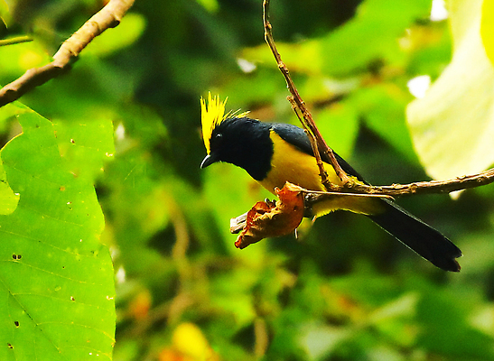 포토 JPG 해외이미지 동물 야생동물 여행 사람없음 여행객 해외202309 해외포토 사람 파일형식