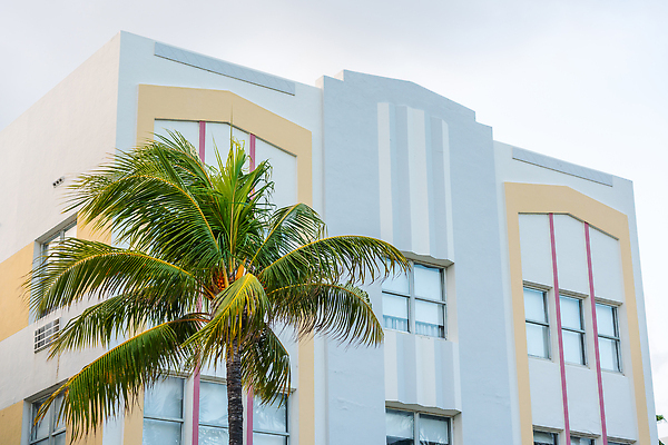 포토 JPG 해외이미지 나무 디자인 외관 여행 건축양식 하늘 호텔 휴가 거리 손바닥 미술 사람없음 야외 건물 컬러풀 야자수 뷰티 맑음 미국 운전 도시 역사 묘사 휴양지 복고 지역 남쪽 랜드마크 마이애미 플로리다 해외202309 해외포토 식물 건축물 손 건축 컬러 북아메리카 모션 숙소 날씨 문화예술 장소 방향 파일형식