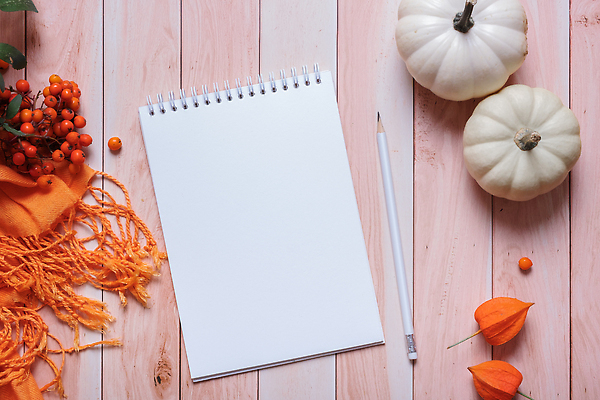 포토 JPG 해외이미지 교육 종교 종이 커피 음료 백그라운드 단풍 잎 텍스트 호박 날씨 주택 따뜻함 사람없음 목재 책 컵 스터디 노란색 검은색 목도리 공백 머그컵 수확 가을 흰색 시간 뜨거움 차 11월 스웨터 니트 문학 페이지 추수감사절 시트 10월 안락 해외202309 해외포토 나무 식물 식기 잡화 계절 기독교 컬러 컨셉 상의 농업 채소 재료 건물 학습 날짜 파일형식