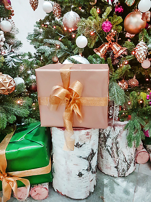 포토 JPG 해외이미지 나무 디자인 계절 별 리본 종이 백그라운드 컨셉 크리스마스 겨울 포장 공 휴가 새로움 선물 사람없음 장식 빨간색 세로 상자 뷰티 크리스마스트리 파티 축제 놀람 흰색 인사 소나무 황금 12월 연도 오브젝트 활 머리위 정리 포장소품 가문비나무 해외202309 해외포토 자연요소 식물 기념일 감정 컬러 표정 이벤트 예절 날짜 포장재료 파일형식