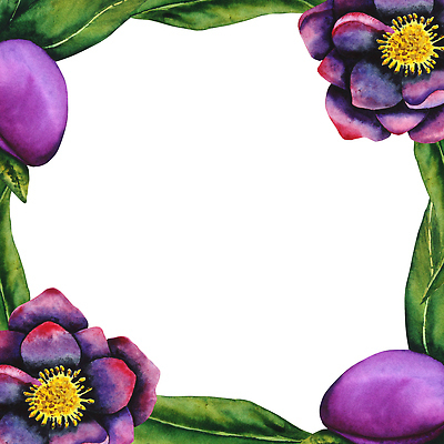 포토 JPG 해외이미지 식물 디자인 꽃잎 꽃 종이 백그라운드 잎 꽃무늬 일러스트 자연 벽지 추상 프레임 미술 사람없음 그래픽 장식 정원 보라색 검은색 봄 수확 벚꽃 직물 신용카드 개화 스케치 그림 질감 손그림 시트 자두 내추럴 고립 엘리먼트 해외202309 해외일러스트 계절 컬러 무늬 농업 과일 문화예술 금융 생태계 파일형식