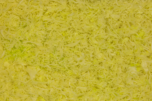 포토 JPG 해외이미지 식물 음식 컬러 백그라운드 잎 농업 다이어트 채소 재료 자연 탁자 건강 요리 사람없음 목재 초록색 머리 주방 샐러드 흰색 신선 칼 맛 자르기 먹기 오브젝트 유기농 질감 양배추 날것 슬라이스 내추럴 고립 무생채 채식주의자 개조 비건 해외202309 해외포토 나무 웰빙 산업 가구 컨셉 모션 신체부위 생태계 채식 파일형식