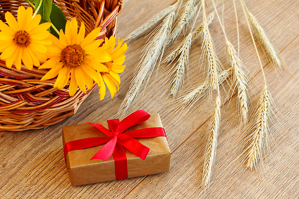 포토 JPG 해외이미지 식물 꽃 음식 빵 줄기 백그라운드 밭 농업 자연 탁자 건조 건강 선물 요리 씨앗 사람없음 목재 장식 여름 상자 농장 갈색 바구니 우주 수확 시골 황금 맛 상품 낟알 시리얼 밀 보따리 유기농 날것 보리 귀 밀짚 내추럴 숙성 호밀 해외202309 해외포토 나무 웰빙 계절 산업 컬러 가구 컨셉 재료 곡류 신체부위 짚 생태계 파일형식