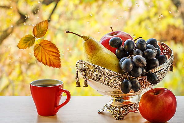 포토 JPG 해외이미지 나무 디자인 계절 커피 컬러 백그라운드 컨셉 단풍 잎 패턴 오렌지 창문 자연 포도 표면 날씨 추상 건조 사람없음 빨간색 물 빛 뷰티 노란색 환경 금속 꽃병 젖음 추위 물방울 도시 투명 액체 떨어짐 사과 이슬 빗방울 내추럴 효과 해외202309 해외포토 자연요소 식물 꽃 음료 무늬 과일 재질 비_날씨 생태계 파일형식