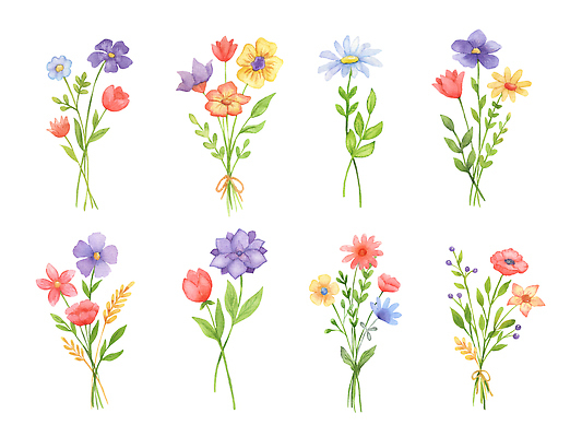 JPG 해외이미지 꽃다발 일러스트 미술 사람없음 세트 손그림 해외202309 해외일러스트 꽃 문화예술 파일형식