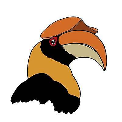 EPS 해외이미지 동물 야생동물 오렌지 일러스트 아프리카 자연 조류 생물 컬러풀 뷰티 노란색 검은색 큼 열대우림 깃털 그림 부리 코뿔소 벡터 해외202309 해외일러스트 나라 컬러 과일 포유류 숲 크기 생태계 파일형식